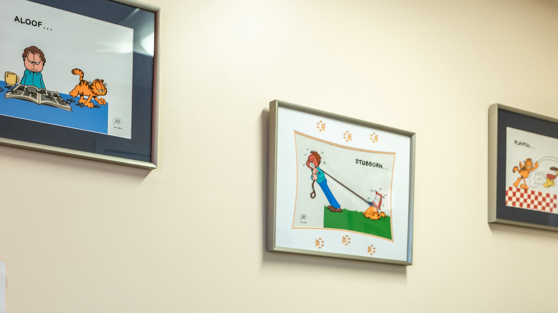windrose-animal-hospital-Urgent Care-grid-2